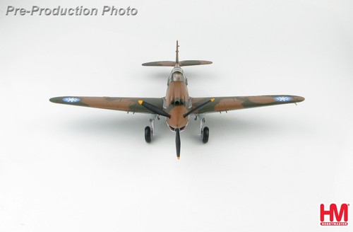 CURTISS P-40B WARHAWK AVG FLYING TIGER 3RD PS 1942 - HOBBY MASTERS HA9203 1/48 - Picture 7 of 7