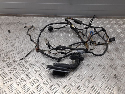 Rear door wiring loom