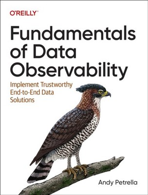 FUNDAMENTALS OF DATA OBSERVABILITY by Andy Petrella Paperback Self Help Business