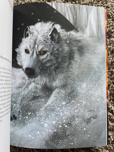 DEEPER THAN SWORDS: Celebrating the Work of George R. R. Martin Texas A&M Press - Bild 14 von 14