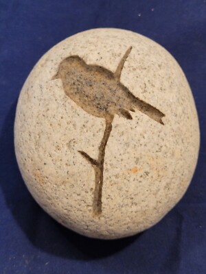Bird Carved Into Stone By Rock It Creations Anaheim California