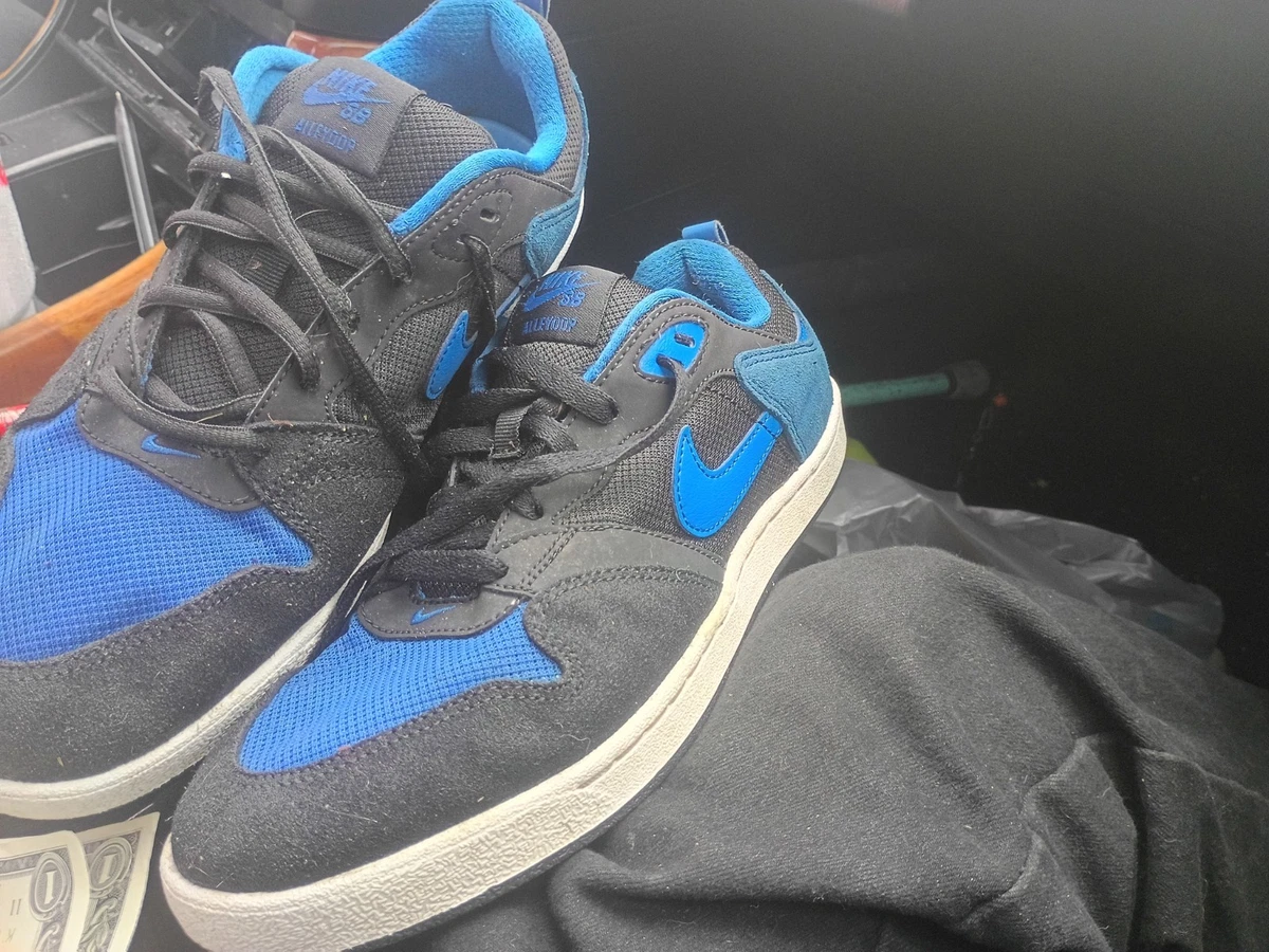 Nike SB Alleyoop for Sale | Authenticity Guaranteed | eBay