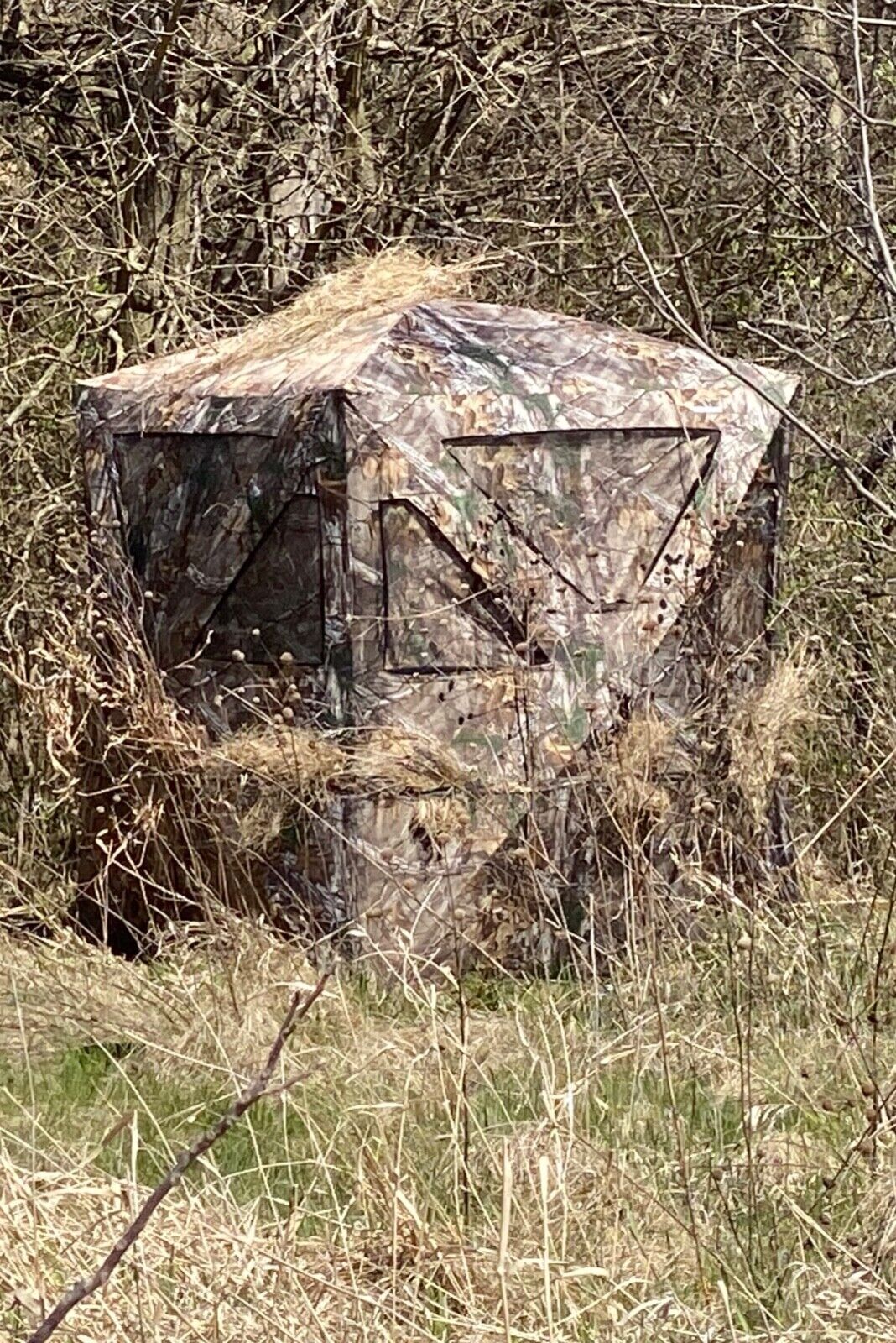 Picture 6 of 10