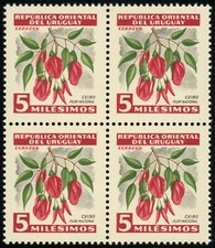 Uruguay #605 Ceibo Flor Nacional 5m Bloque de franqueo América Latina 1954 Como nuevo NH