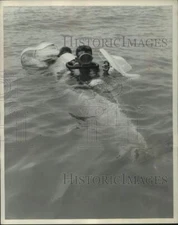 1954 Press Photo Submarine operators swim to the floating craft - mjt19016