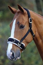 SHIRES LUNGE CAVESSON POLAR PODSZEWKA KOMFORT PEŁNY ROZMIAR REGULOWANY KRÓJ CZARNY