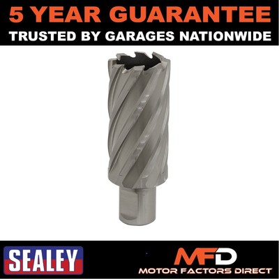 Sealey Worksafe �� 31 mm HSS Mag Bohrer Schnitttiefe 50 mm RBHSS31L