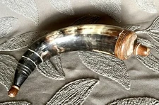 Bull Horn Muzzleloader Gunpowder Holder Colonial Mountain Man Cabinet Decor