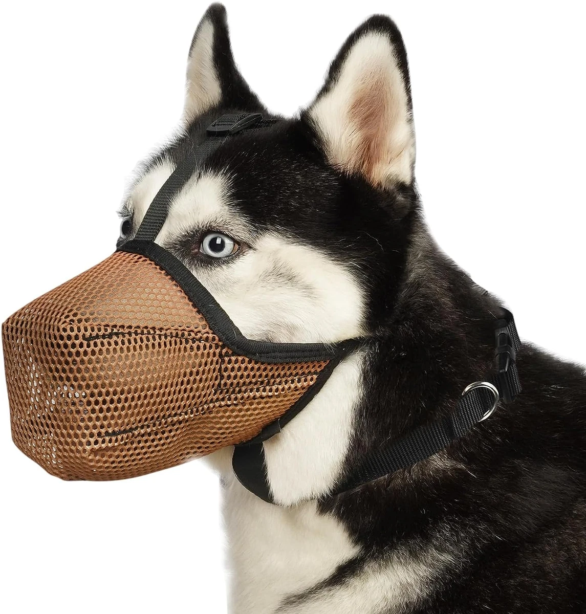Safe dog muzzle top