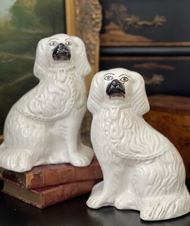 Fine Rare Large 19C White English Staffordshire Spaniel Hunt Mantle Dog Pair 10”