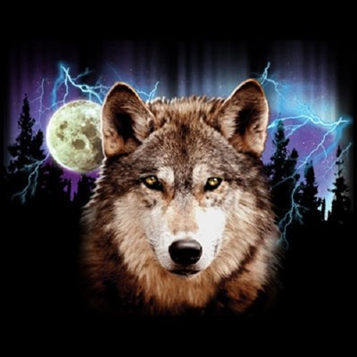 Night Hunt   New Wolf   Sweatshirt/ Longsleeved tshirt   Sizes/Colors