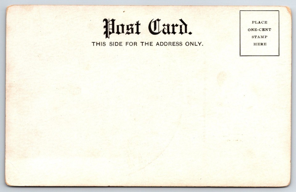 Coney IslandBoston Native Showman JW Gorman Horse "King" Dives Into Poolc1905 eBay