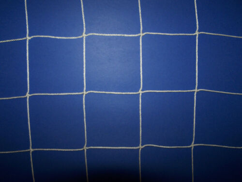 100´ x 10´WHITE SQUARE MESH NYLON SOCCER NETTING4