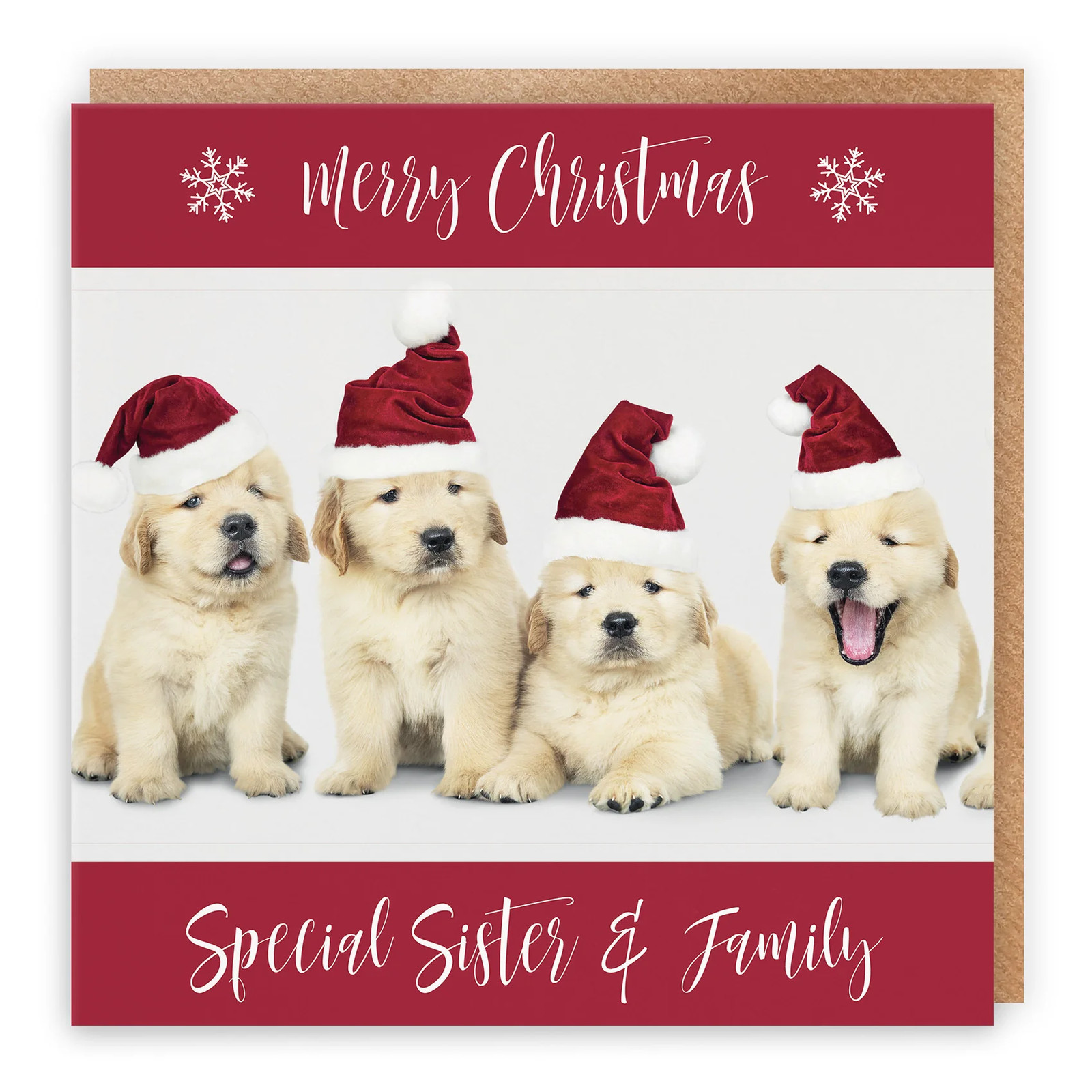 Sister And Family Christmas Card Puppy