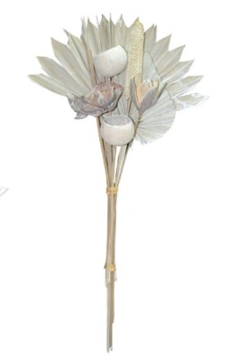 Trockenblumen Strauß BOHO Style Exotic Palmspear white wash 60cm Exoten Aufleger