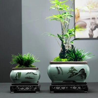 Bonsai Pot W Tray 6