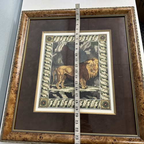 Lion Engraving Print Framed Matted Approx: 21.25x23.4 inches Burlwood /Gold - Picture 5 of 15