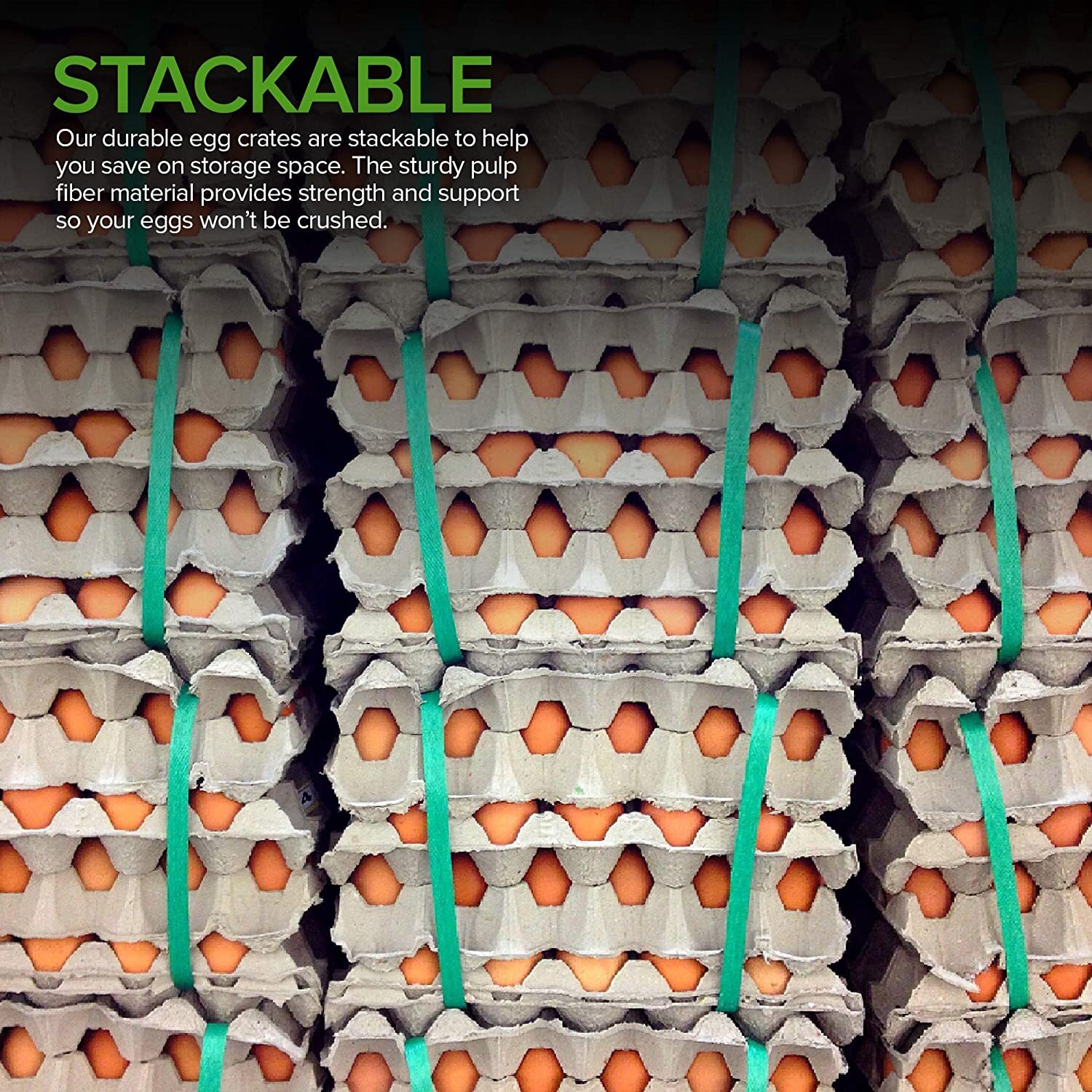 Egg Crates (15 Pack) Recyclable Quail Egg Cartons Chicken Holds up to
