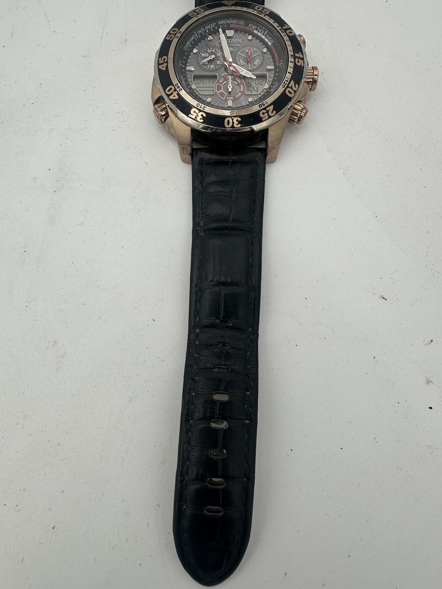 Citizen C660-S067634 HST Promaster World Time | eBay
