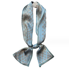 100 Mulberry Silk Scarf 150X15CM Women's Long Double sided Printed Scarf CHA18