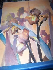 Original Watercolor By Peg Humphreys, Bearded Iris's 22"x 16"