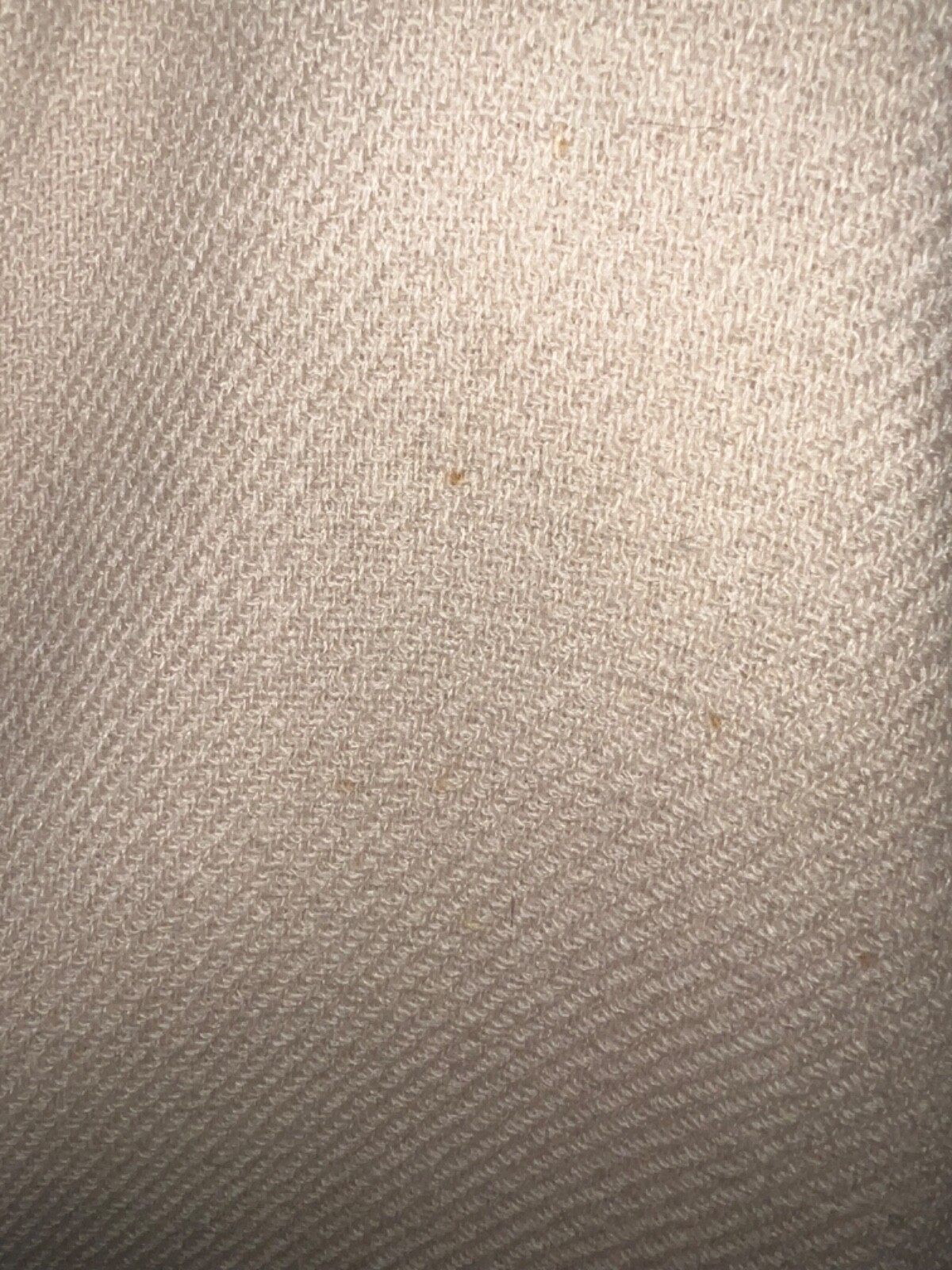 Picture 10 of 10