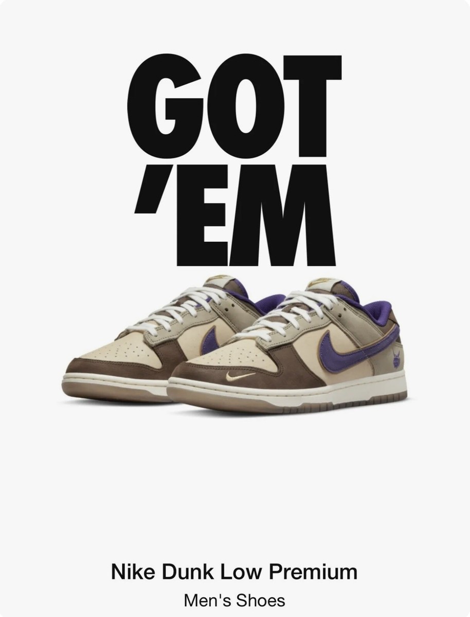got em nike dunks