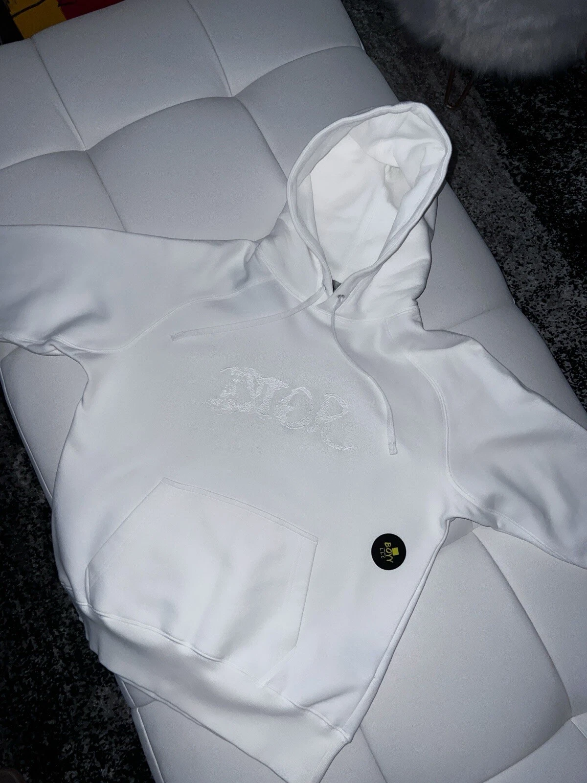 Felpa con cappuccio Dior Peter Doig logo