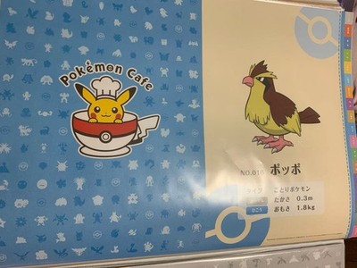 Pokémon Café Luncheon Mat Pidgey  Used, Thin, Possible Creases, Cat Hair