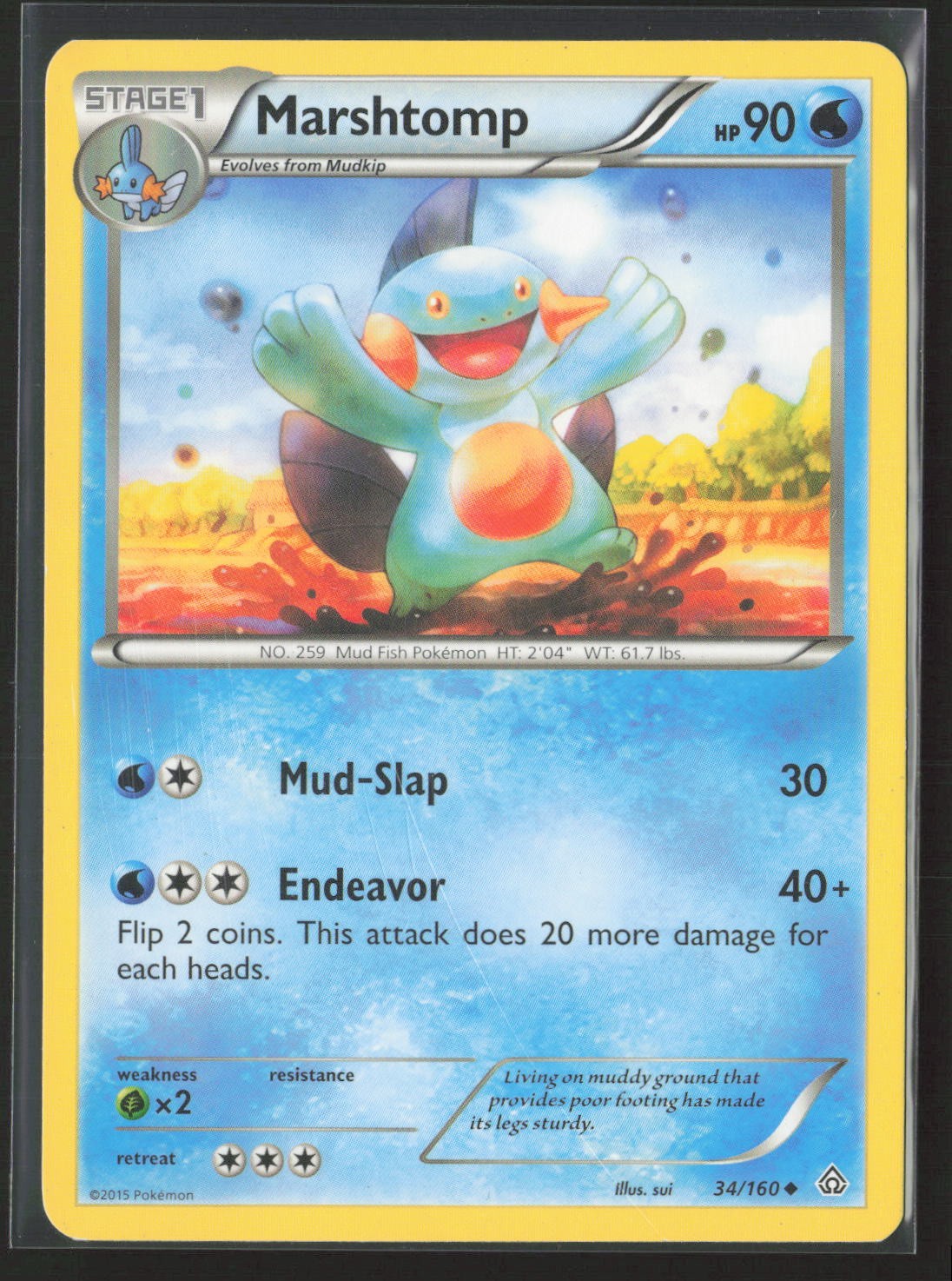 Marshtomp 34/160 Uncommon Primal Clash Pokemon Lightly Played