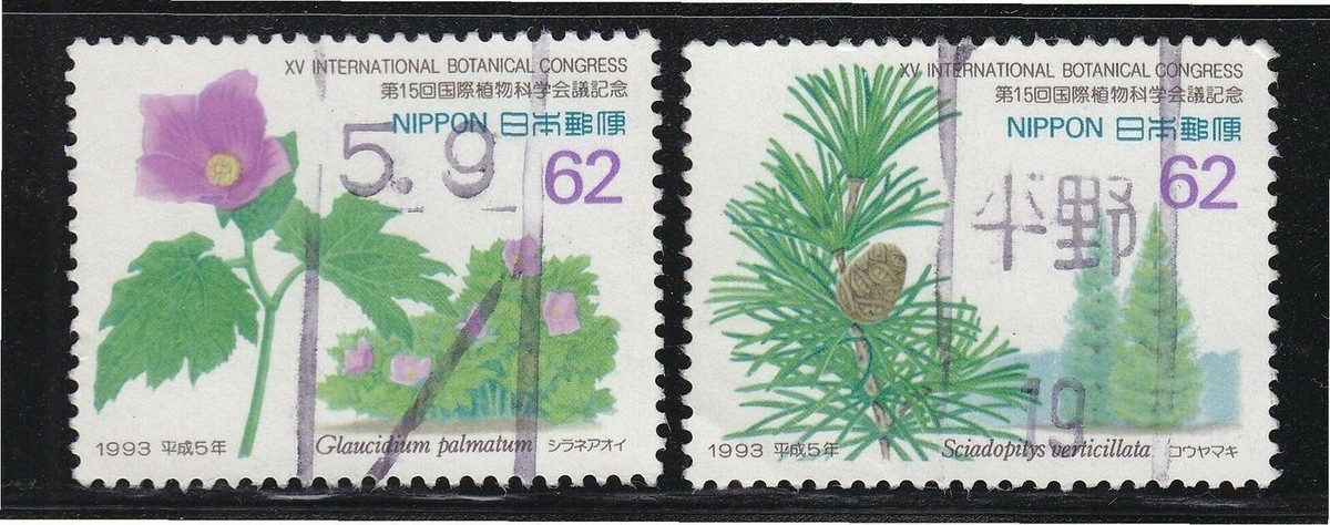 BOTANICAL ART 【import品】 Antique Botanical Print Set No. 32, Botanical Prints
