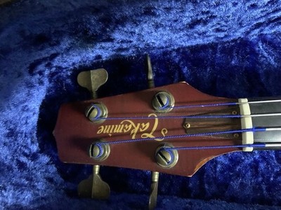 Electric Acoustic BassGuitar Takamine B10 Fretless F Hole Semi