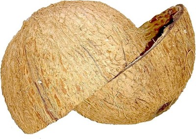 COCONUT SHELL  100% Natural Pure Eco Friendly Ceylon Coconut Halves