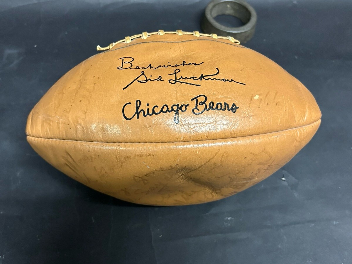 1966 Chicago Bears Football Signed Gale Sayers Dick Gordon Johnny