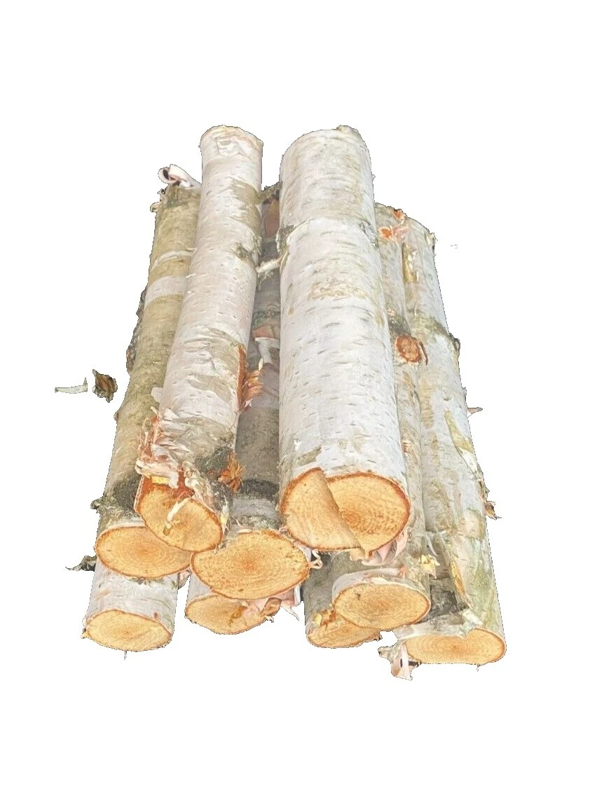 Fireplace Decorative Logs