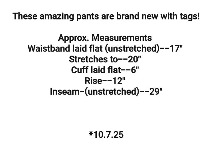 Andrew Marc Pants Size L Soft Faux Suede Pull On Leggings Black Stretch NWT  thumbnail 2