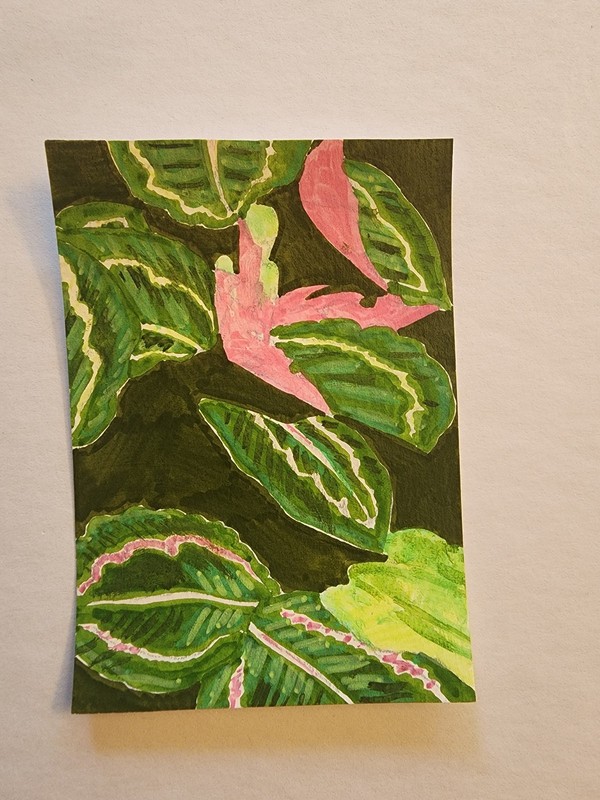 ACEO Original Abstract Acrylic Painting of a Leafy House Plant by Kiva