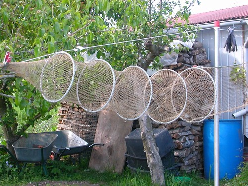 Berufsfischreuse Doppel Reuse 500 X 40 cm Aalreuse Karpfen Krebs Köderfisch - Bild 4 von 8