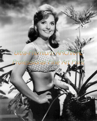 Dawn wells sexy Retrospace: Mini