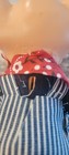 Bild 6 von 6