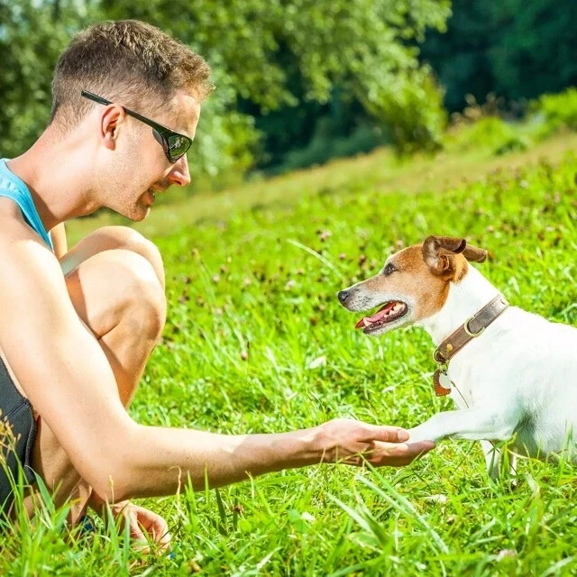 Pup-Peroni Dog Snacks Original Beef Flavor (46 oz.) DEAL!! - Image 3 of 4