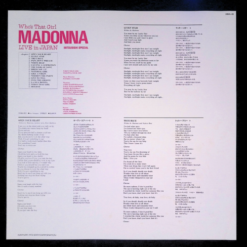 Madonna Who's That Girl Live in Japan 1987 Japan LaserDisc + Tour Brochure RARE - Picture 6 of 16