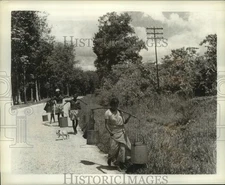 1961 Press Photo Rubber plantations in Kew, Malaya beginning to thrive again