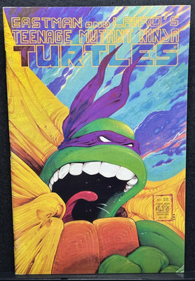 TEENAGE MUTANT NINJA TURTLES #22 MID GRADE 1989 MIRAGE MARTIN ART TIME TRAVELER