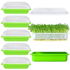 6 Pack Sprouting Tray with Drain Holes BPA Nursery Tray Microgreens Growing T...