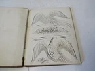 Nancy True Brandon Seminary VT Friendship Album 1840's