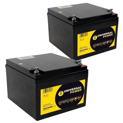 Ersatzakku für Freerider FR 1683, FR 1683P2 Scooter 24V 2 x 12V 30Ah