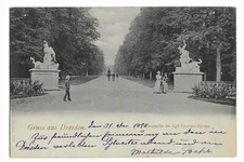 Postcard Gruss aus Dresden Hauptallee Im Kgl. Grossen Garten Royal Great Garden