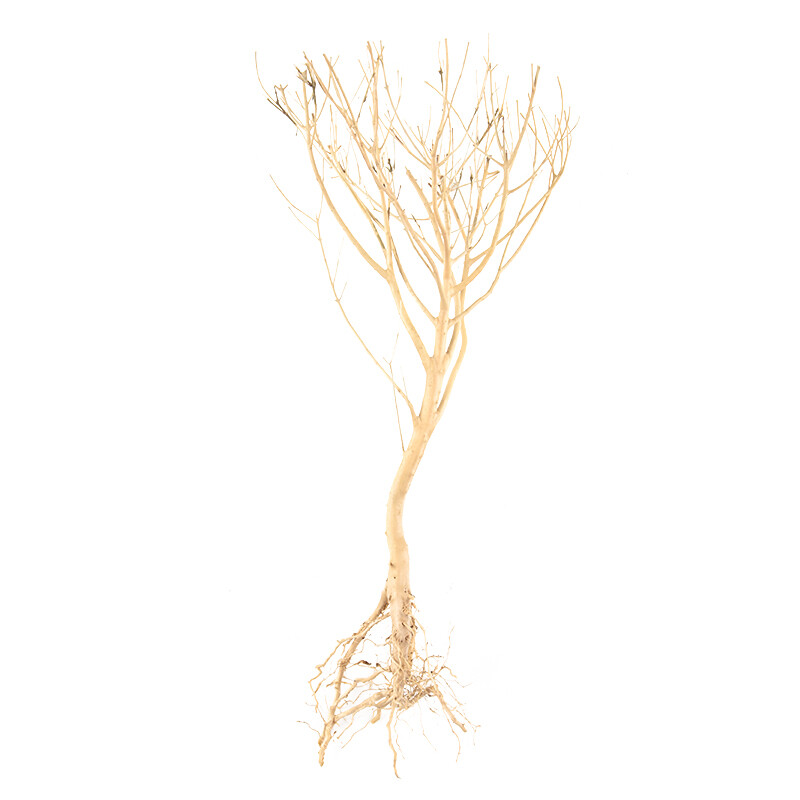 DIY Driftwood Aquarium Moss Tree Fish Tank Ornament Landscape Bonsai