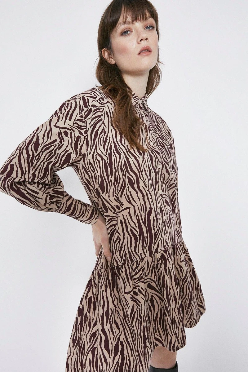 Warehouse zebra sale print shirt dress